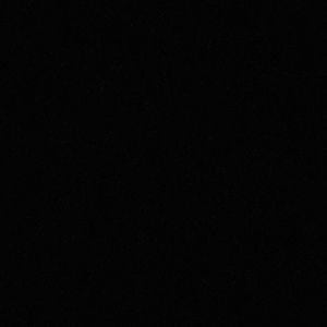 Meet your Posher, Jamari